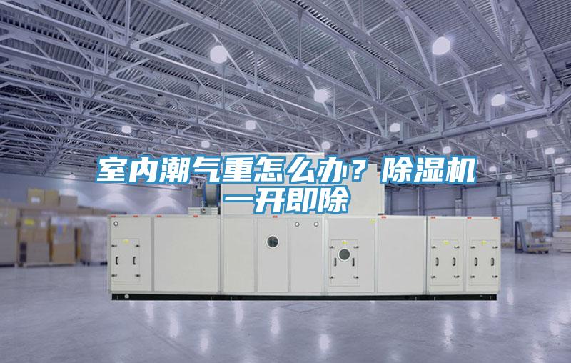室內潮氣重怎么辦？除濕機一開即除