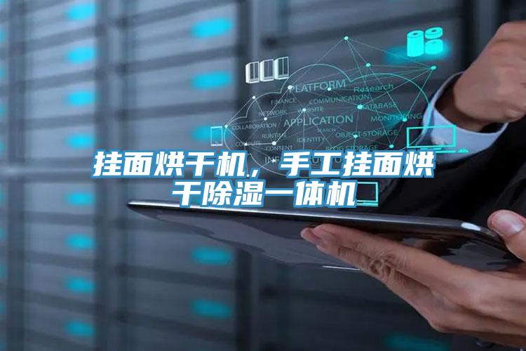 掛面烘干機，手工掛面烘干除濕一體機