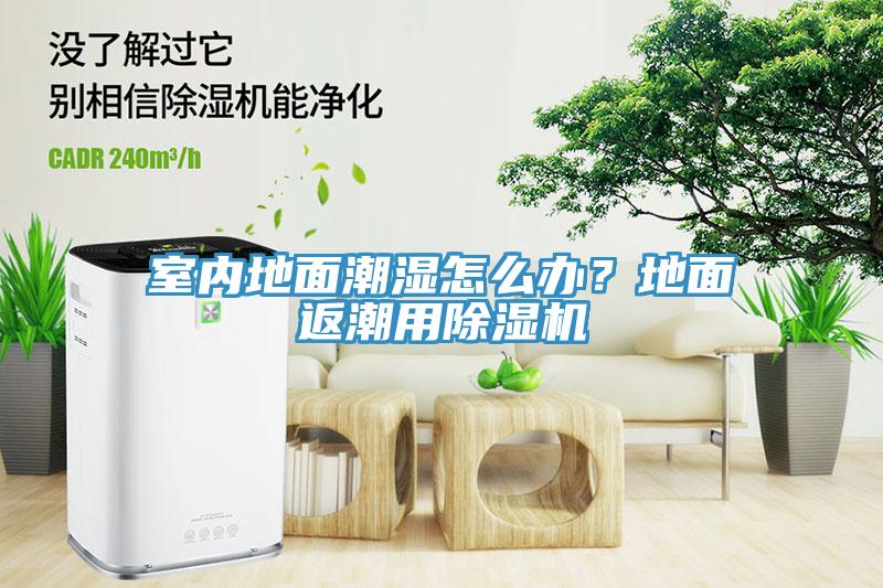 室內地面潮濕怎么辦？地面返潮用除濕機