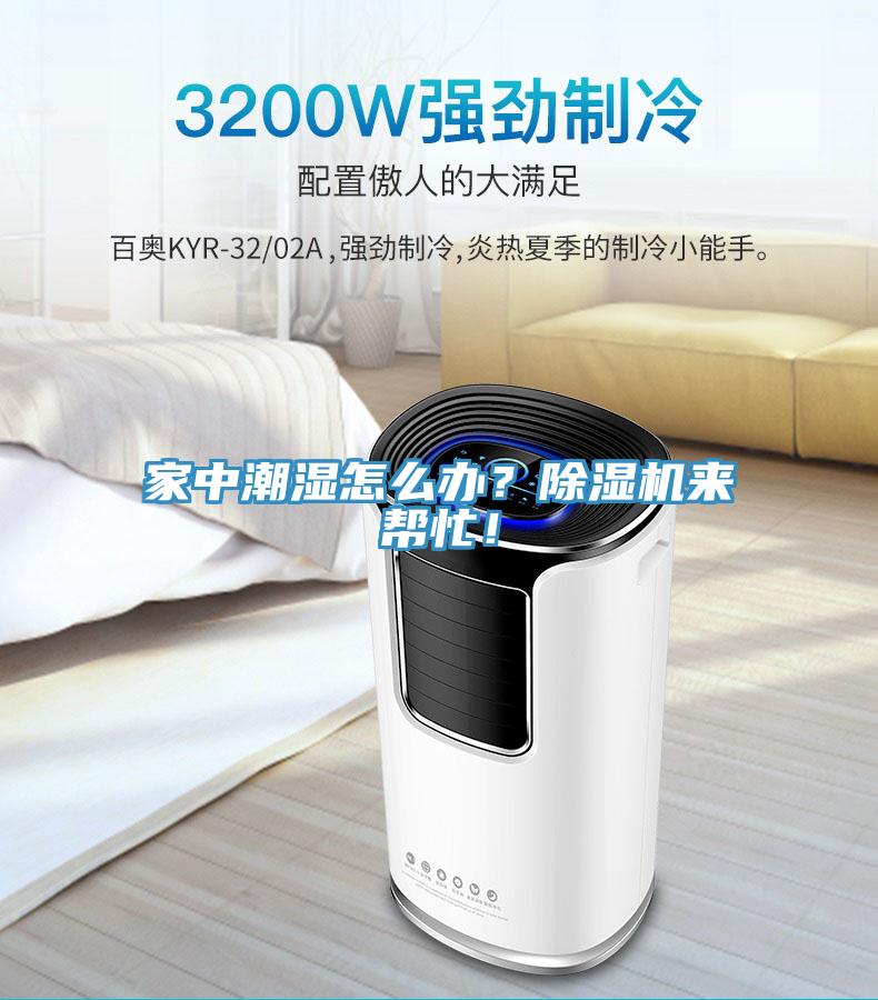 家中潮濕怎么辦？除濕機來幫忙！