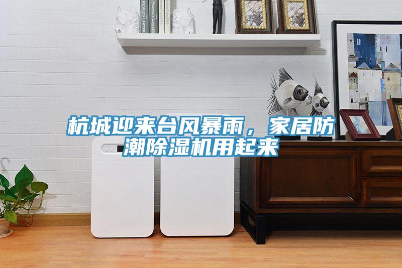 杭城迎來臺風暴雨，家居防潮除濕機用起來