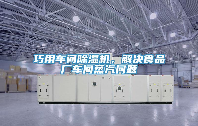 巧用車間除濕機(jī)，解決食品廠車間蒸汽問題