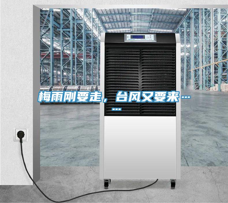 梅雨剛要走，臺風(fēng)又要來……