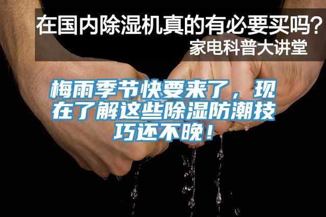 梅雨季節(jié)快要來了，現(xiàn)在了解這些除濕防潮技巧還不晚！