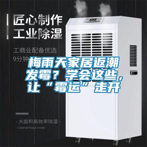 梅雨天家居返潮發(fā)霉？學(xué)會這些，讓“霉運”走開