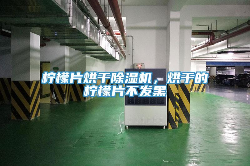 檸檬片烘干除濕機，烘干的檸檬片不發(fā)黑