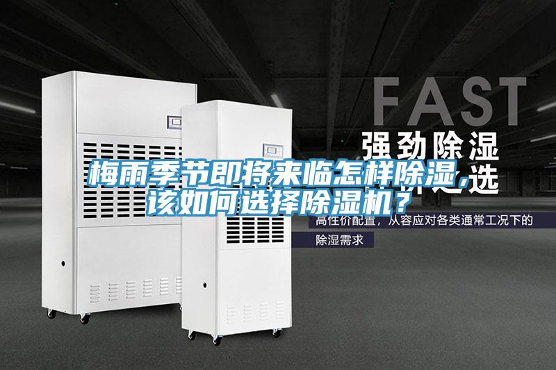 梅雨季節即將來臨怎樣除濕，該如何選擇除濕機？