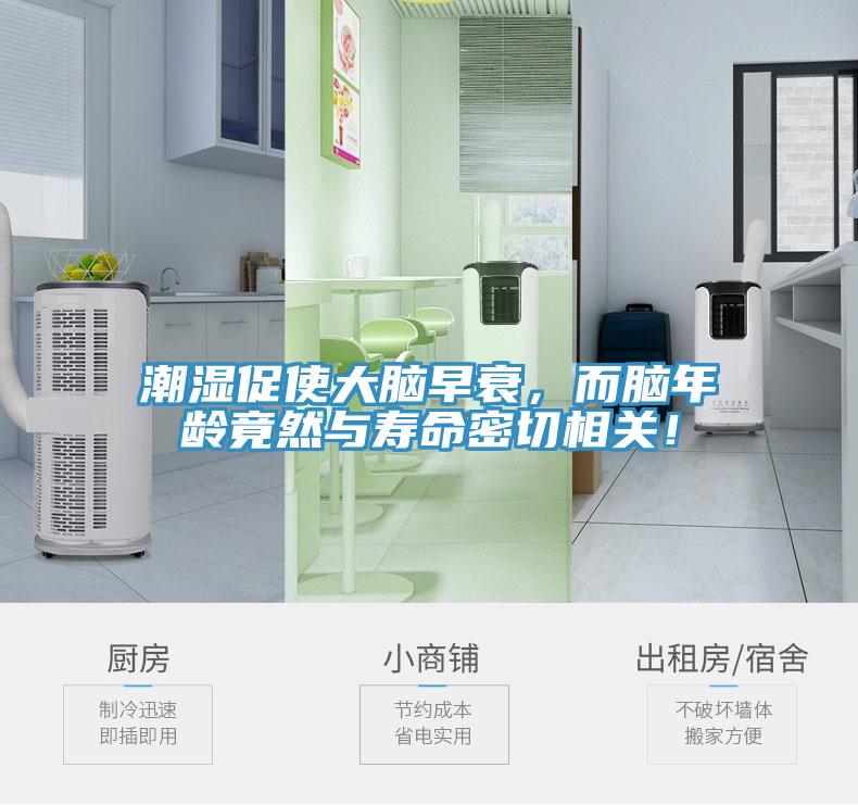 潮濕促使大腦早衰，而腦年齡竟然與壽命密切相關(guān)！