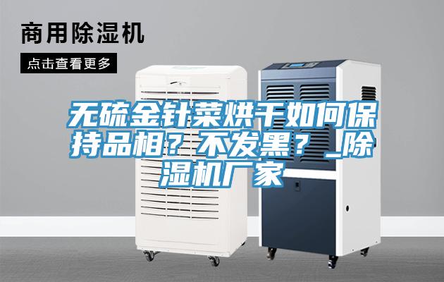 無硫金針菜烘干如何保持品相？不發(fā)黑？_除濕機廠家