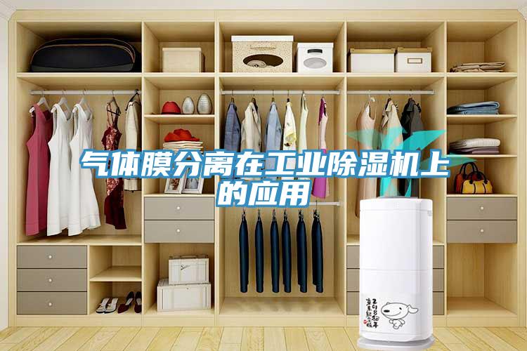 氣體膜分離在工業除濕機上的應用
