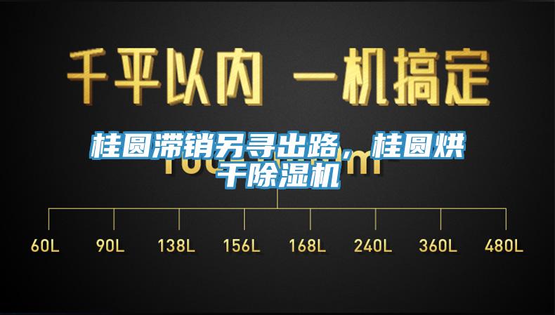 桂圓滯銷另尋出路，桂圓烘干除濕機