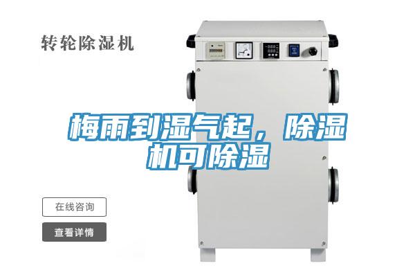 梅雨到濕氣起，除濕機可除濕