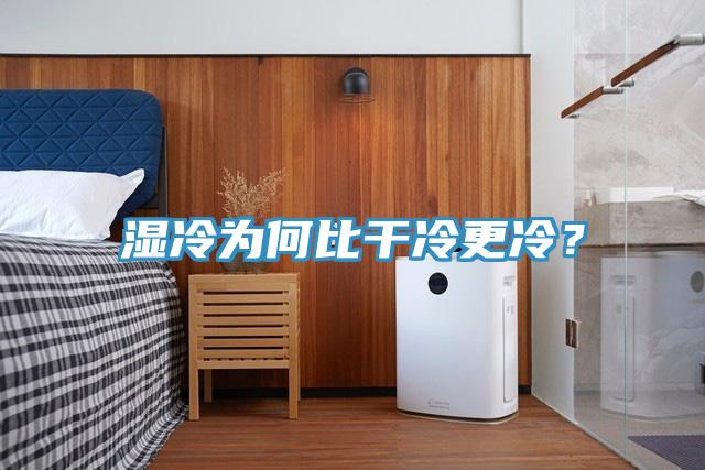 濕冷為何比干冷更冷?