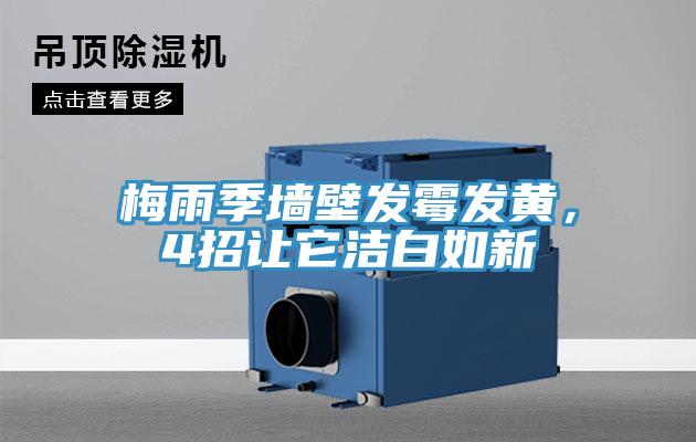 梅雨季墻壁發霉發黃，4招讓它潔白如新