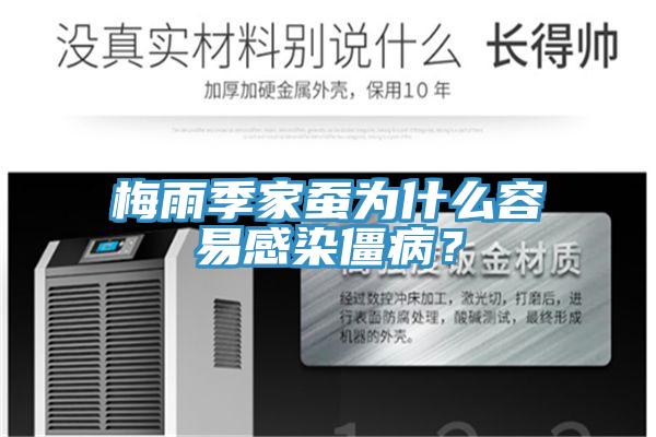梅雨季家蠶為什么容易感染僵?。?></div>
								<div   id=
