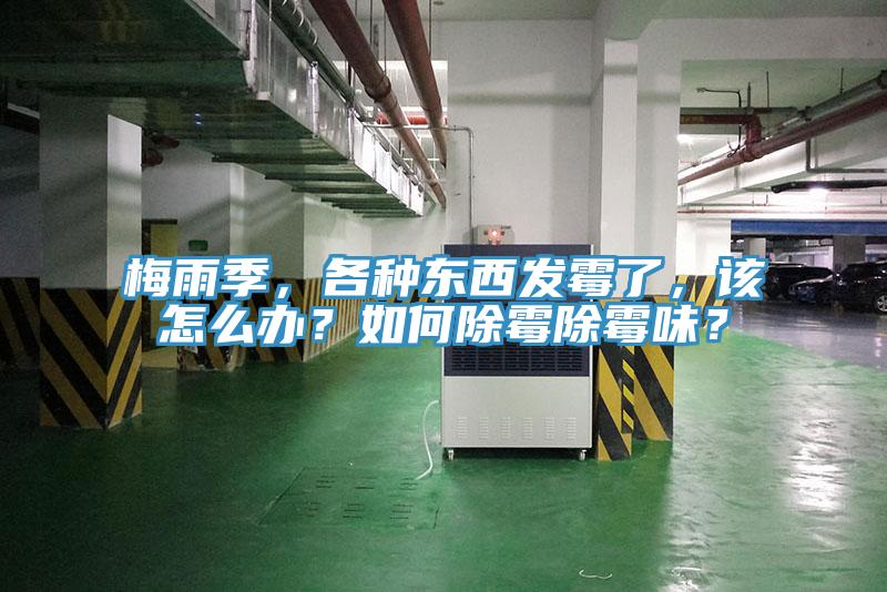 梅雨季，各種東西發霉了，該怎么辦？如何除霉除霉味？