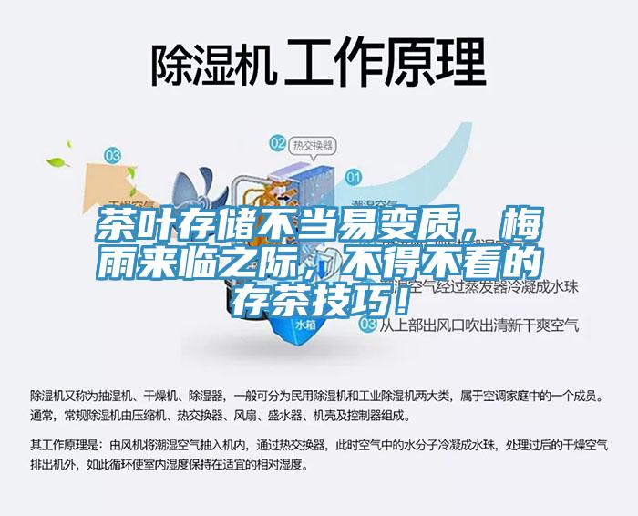 茶葉存儲(chǔ)不當(dāng)易變質(zhì)，梅雨來(lái)臨之際，不得不看的存茶技巧！