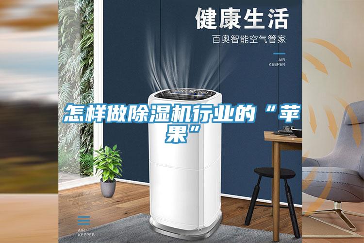怎樣做除濕機行業的“蘋果”