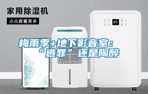 梅雨季+地下影音室:“逃罪”還是陶醉