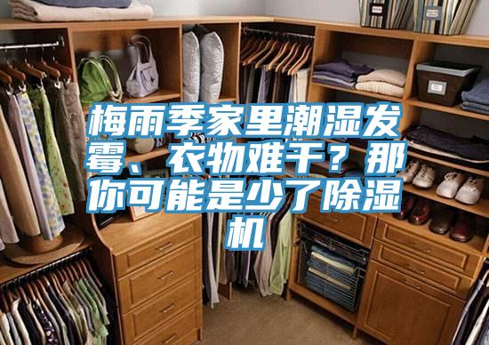 梅雨季家里潮濕發(fā)霉、衣物難干？那你可能是少了除濕機(jī)