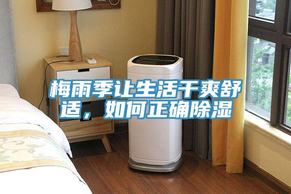 梅雨季讓生活干爽舒適，如何正確除濕