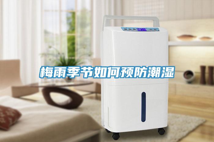 梅雨季節如何預防潮濕