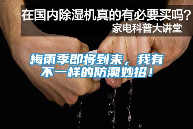 梅雨季即將到來，我有不一樣的防潮妙招！