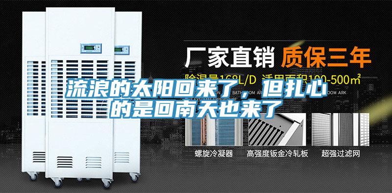 流浪的太陽回來了，但扎心的是回南天也來了
