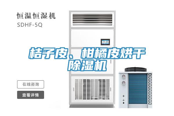 桔子皮、柑橘皮烘干除濕機(jī)