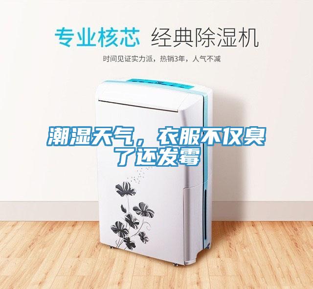 潮濕天氣，衣服不僅臭了還發霉