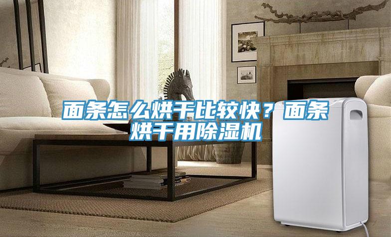 面條怎么烘干比較快?面條烘干用除濕機