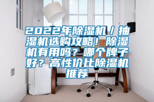 2022年除濕機/抽濕機選購攻略!除濕機有用嗎?哪個牌子好?高性價比除濕機推薦