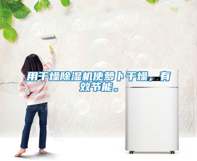 用干燥除濕機使蘿卜干燥，有效節(jié)能。