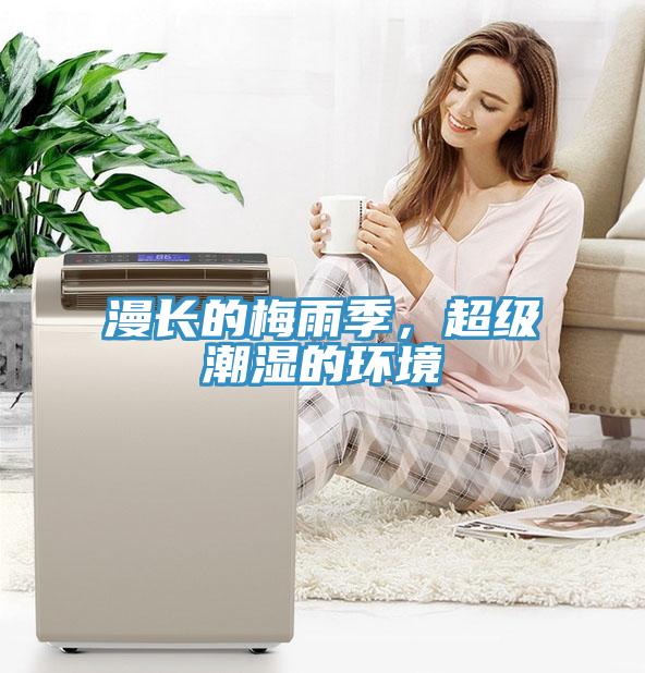 漫長的梅雨季，超級潮濕的環境