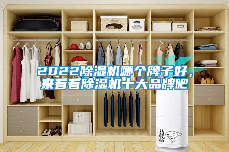 2022除濕機哪個牌子好,來看看除濕機十大品牌吧
