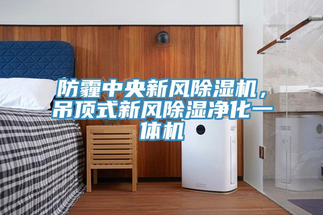 防霾中央新風除濕機,吊頂式新風除濕凈化一體機