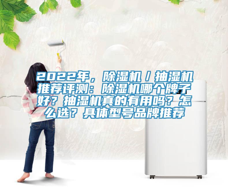 2022年,除濕機/抽濕機推薦評測:除濕機哪個牌子好?抽濕機真的有用嗎?怎么選?具體型號品牌推薦