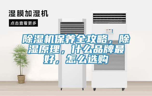 除濕機(jī)保養(yǎng)全攻略，除濕原理，什么品牌最好，怎么選購(gòu)