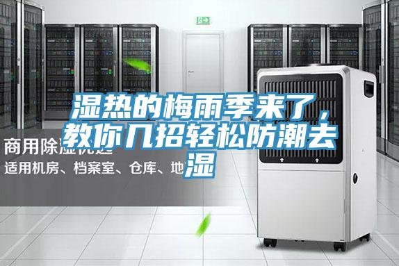 濕熱的梅雨季來了，教你幾招輕松防潮去濕
