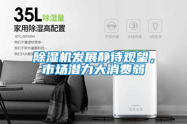 除濕機發展靜待觀望,市場潛力大消費弱