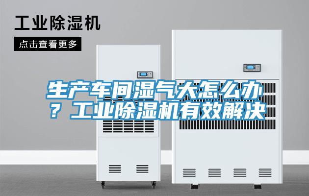 生產車間濕氣大怎么辦？工業(yè)除濕機有效解決