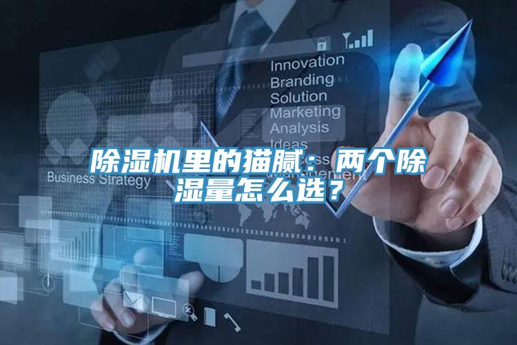 除濕機(jī)里的貓膩：兩個(gè)除濕量怎么選？