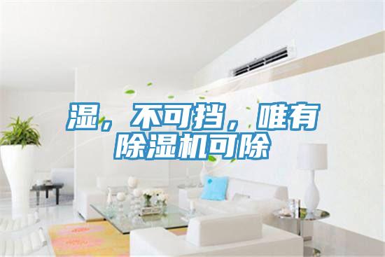 濕，不可擋，唯有除濕機(jī)可除