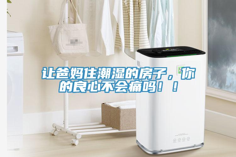 讓爸媽住潮濕的房子，你的良心不會痛嗎??！