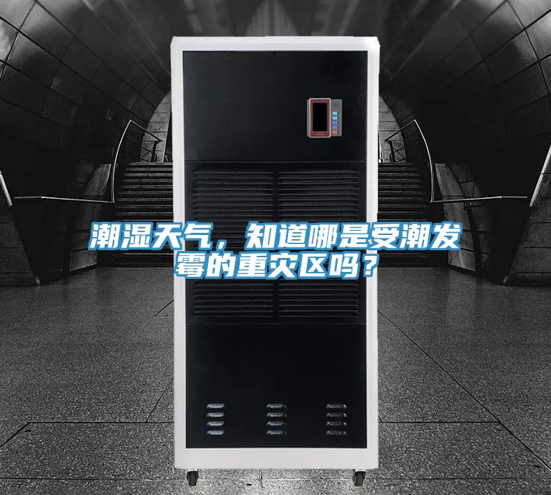 潮濕天氣，知道哪是受潮發(fā)霉的重災區(qū)嗎？