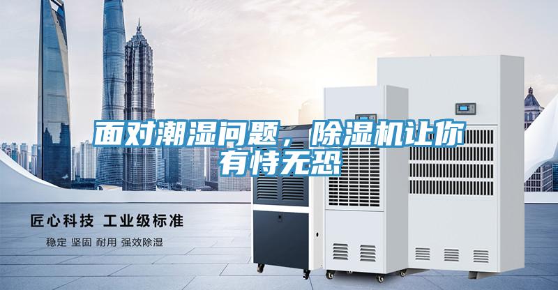 面對潮濕問題,除濕機讓你有恃無恐