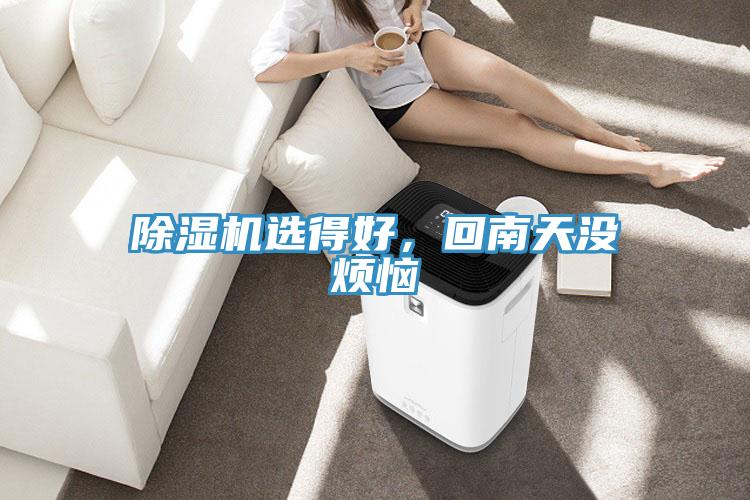 除濕機選得好，回南天沒煩惱