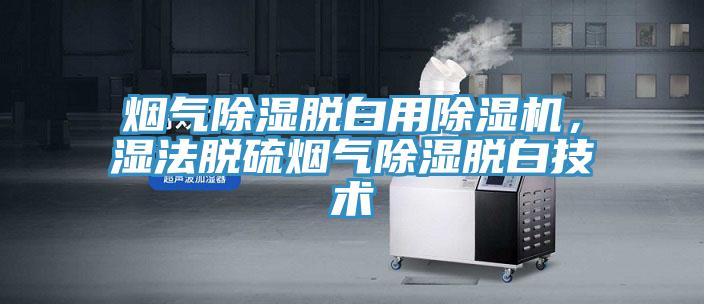煙氣除濕脫白用除濕機(jī)，濕法脫硫煙氣除濕脫白技術(shù)