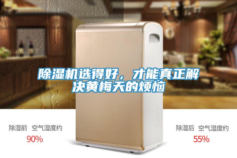 除濕機選得好，才能真正解決黃梅天的煩惱