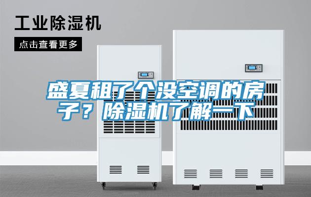 盛夏租了個沒空調(diào)的房子？除濕機了解一下